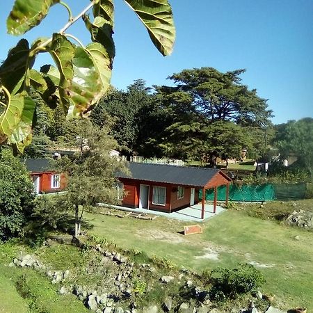 Cabañas los Plátanos La Granja Exterior foto